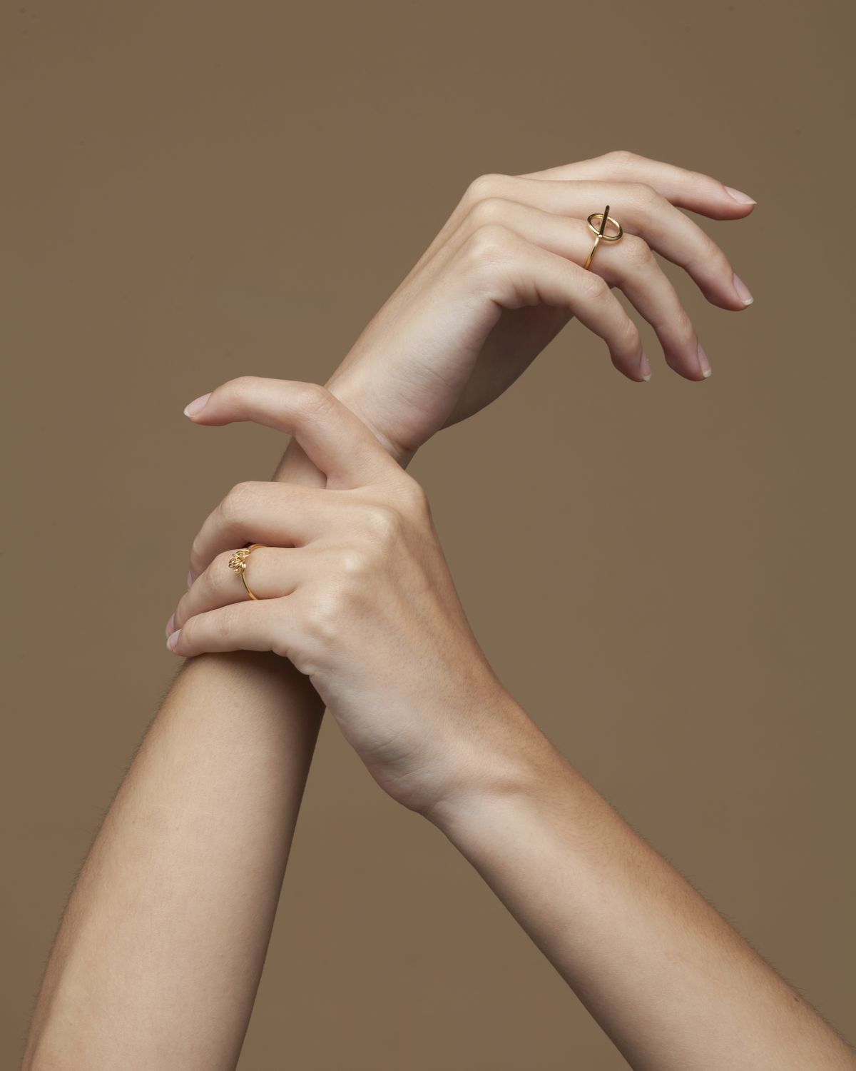 Верхние конечности Верхние конечности